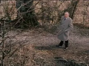 Le chemin à travers bois