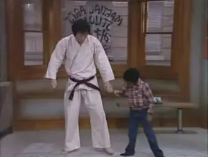 Kung-fu Arnold