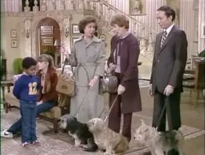 Une journée de chien