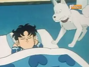 Ennemi ou amoureux ?