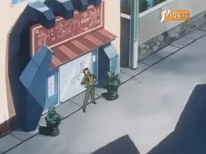 Le Cambrioleur