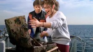 Les Pirates
