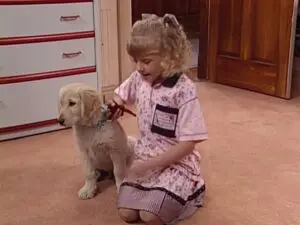 Épisode 12