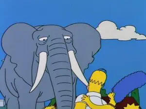 Mon pote l&rsquo;éléphant