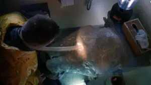 Agua mala