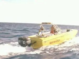 Requins en danger