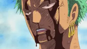 La douleur de mon ami sera mienne. Zoro se prépare au pire.