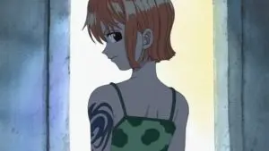 La sorcière du village de Cocoyashi ! La dirigeante du clan Arlong !