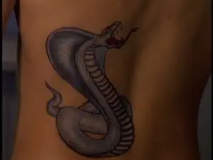 La Malédiction du cobra