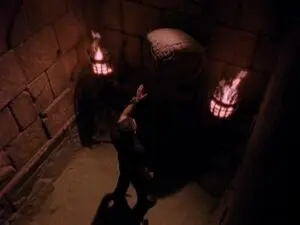 La Morsure du cobra