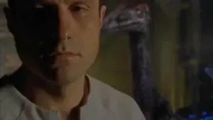 Attention aux dinosaures