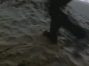 Les Beautés de la plage
