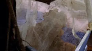 L&rsquo;éclaireur