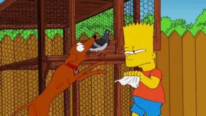 Combien pour cet oiseau dans la vitrine ?