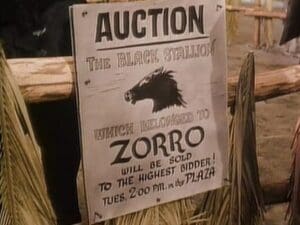 Zorro tend un piège
